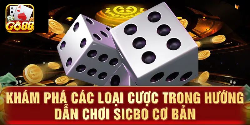 Các cửa cược thường thấy